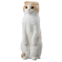 Bandai 5055349 Cat Weapons Neko Busou 2 Tenko Mori |  Hobbies Online