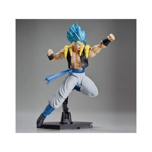 Bandai 50555801 Figure-rise Standard Super Saiyan God Super Saiyan Gogeta Dragon Ball Super |  Hobbies Online