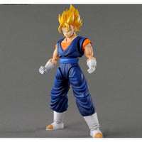 Bandai 50555911 Figure-rise Standard God Super Saiyan Vegetto Dragon Ball Z |  Hobbies Online