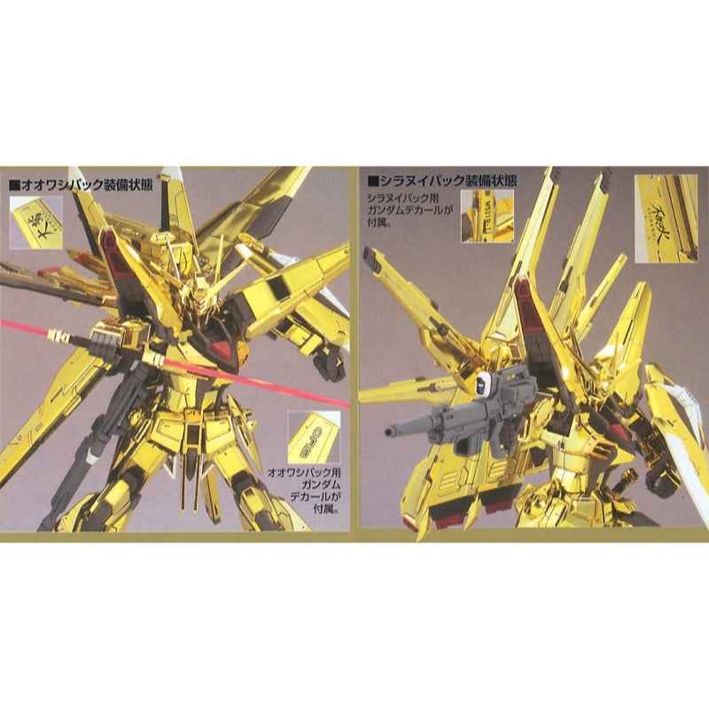 Bandai 5056816 1/100 Akatsuki Oowashi Shiranui Exclusive Gundam Seed Destiny |  Hobbies Online