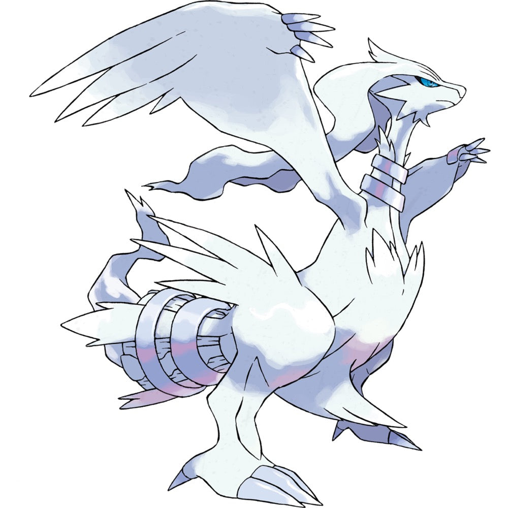 Bandai 5060465 Reshiram Pokemon Model Kit Model Kit |  Hobbies Online