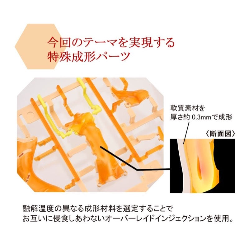 Bandai 50607551 Figure-rise Labo Shikinami Asuka Langley Evangelion |  Hobbies Online