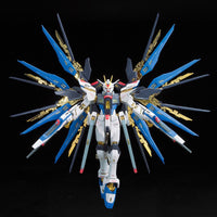 Bandai 5061617 RG 1/144 ZGMF-X20A Strike Freedom |  Hobbies Online