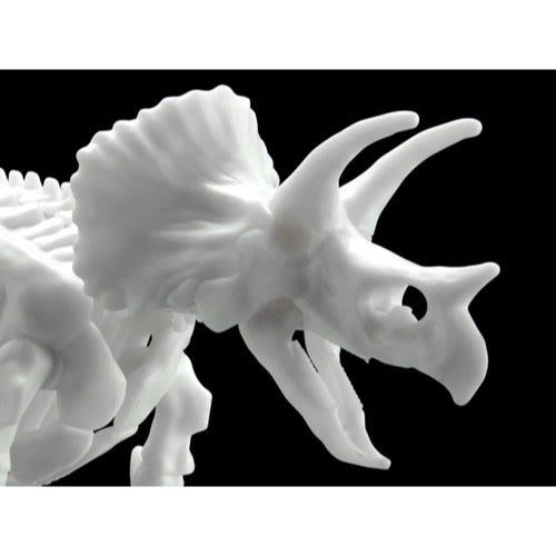 Bandai 5061660 Limex Skeleton Triceratops Dinosaur | Hobbies Online