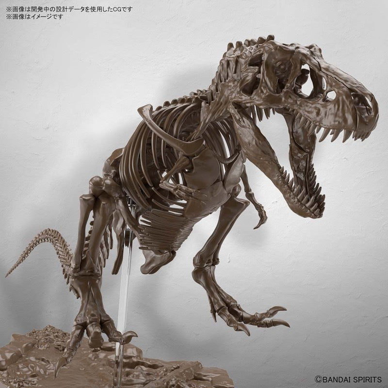 Bandai 5061800 1/32 Imaginary Skeleton Tyrannosaurus Dinosaur | Hobbies Online
