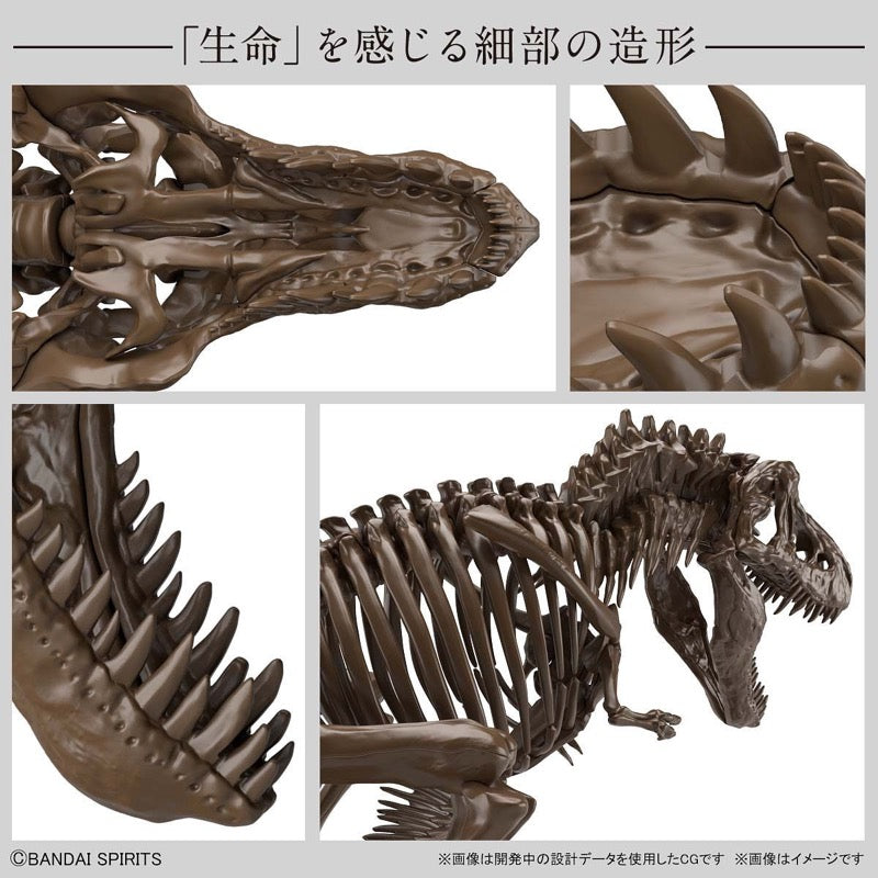 Bandai 5061800 1/32 Imaginary Skeleton Tyrannosaurus Dinosaur | Hobbies Online