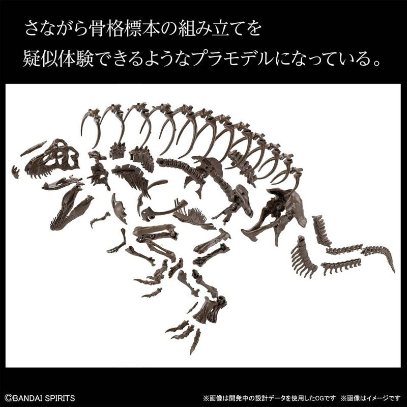 Bandai 5061800 1/32 Imaginary Skeleton Tyrannosaurus Dinosaur | Hobbies Online