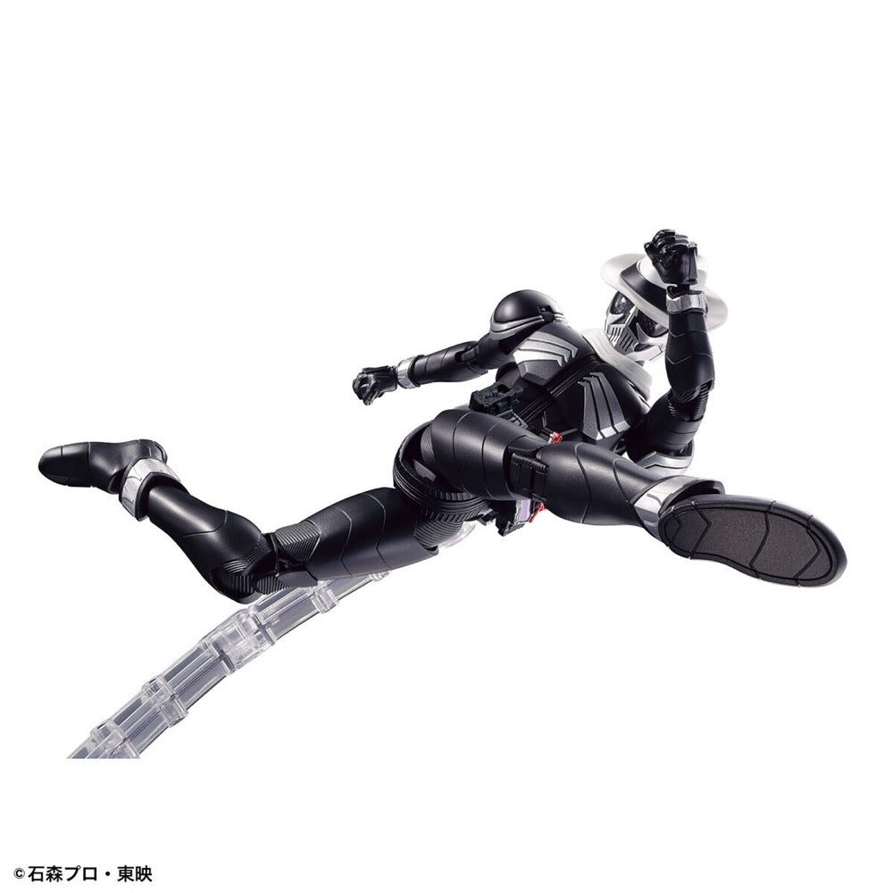 Bandai 5063939 Figure-rise Standard Kamen Rider Skull