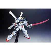 Bandai 5064117 MG 1/100 Crossbone Gundam X-1 Ver.Ka 4573102641175