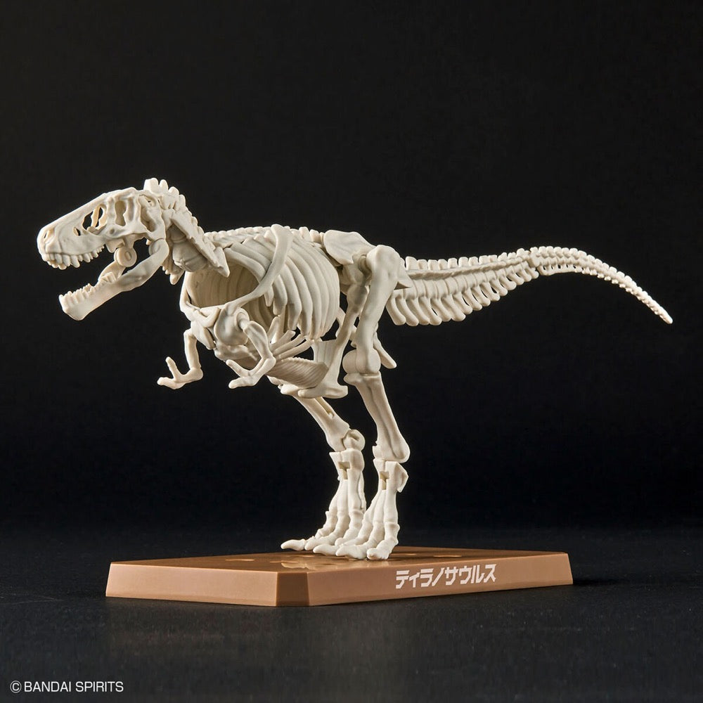 Bandai 5064262 Plannosaurus Tyrannosaurus Dinosaur