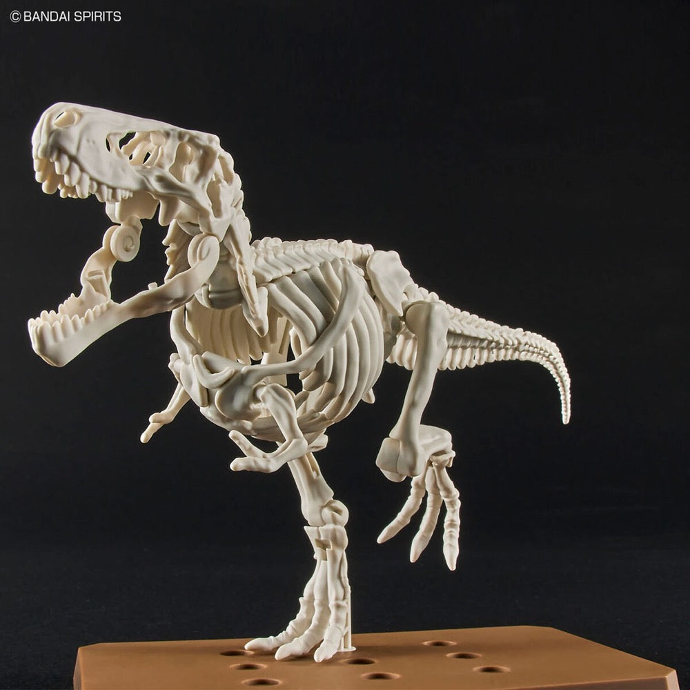 Bandai 5064262 Plannosaurus Tyrannosaurus Dinosaur