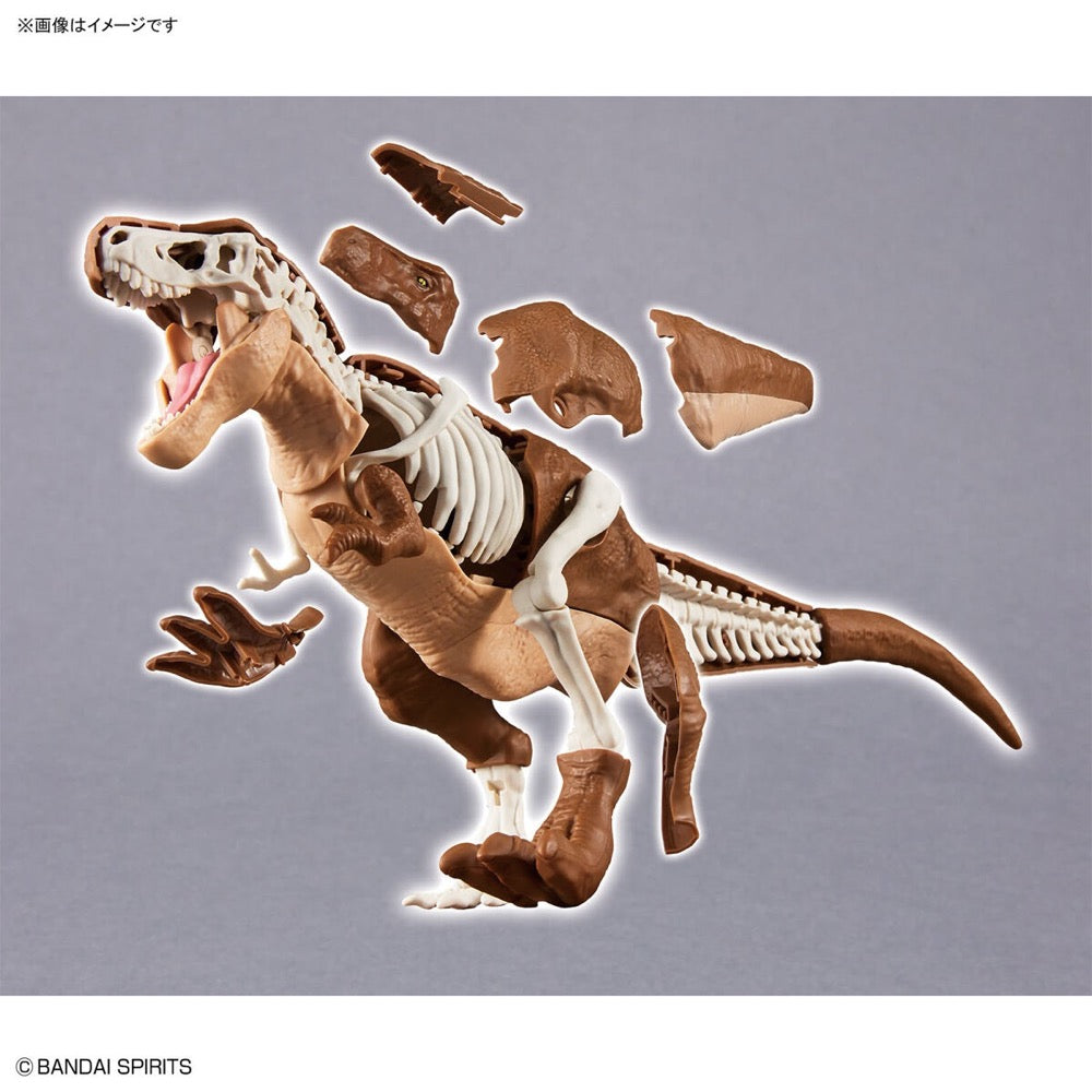 Bandai 5064262 Plannosaurus Tyrannosaurus Dinosaur