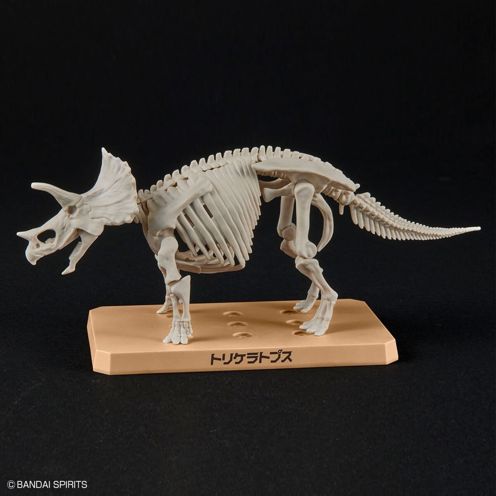 Bandai 5064263 Plannosaurus Triceratops Dinosaur