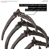 Bandai 5065428 1/32 Imaginary Skeleton Mosasaurus Dinosaur