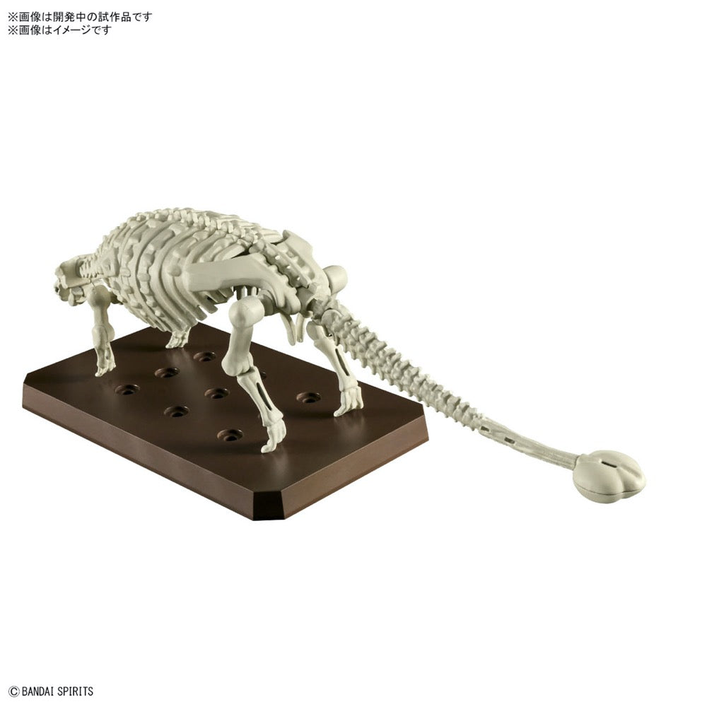 Bandai 5065702 Plannosaurus Ankylosaurus Dinosaur