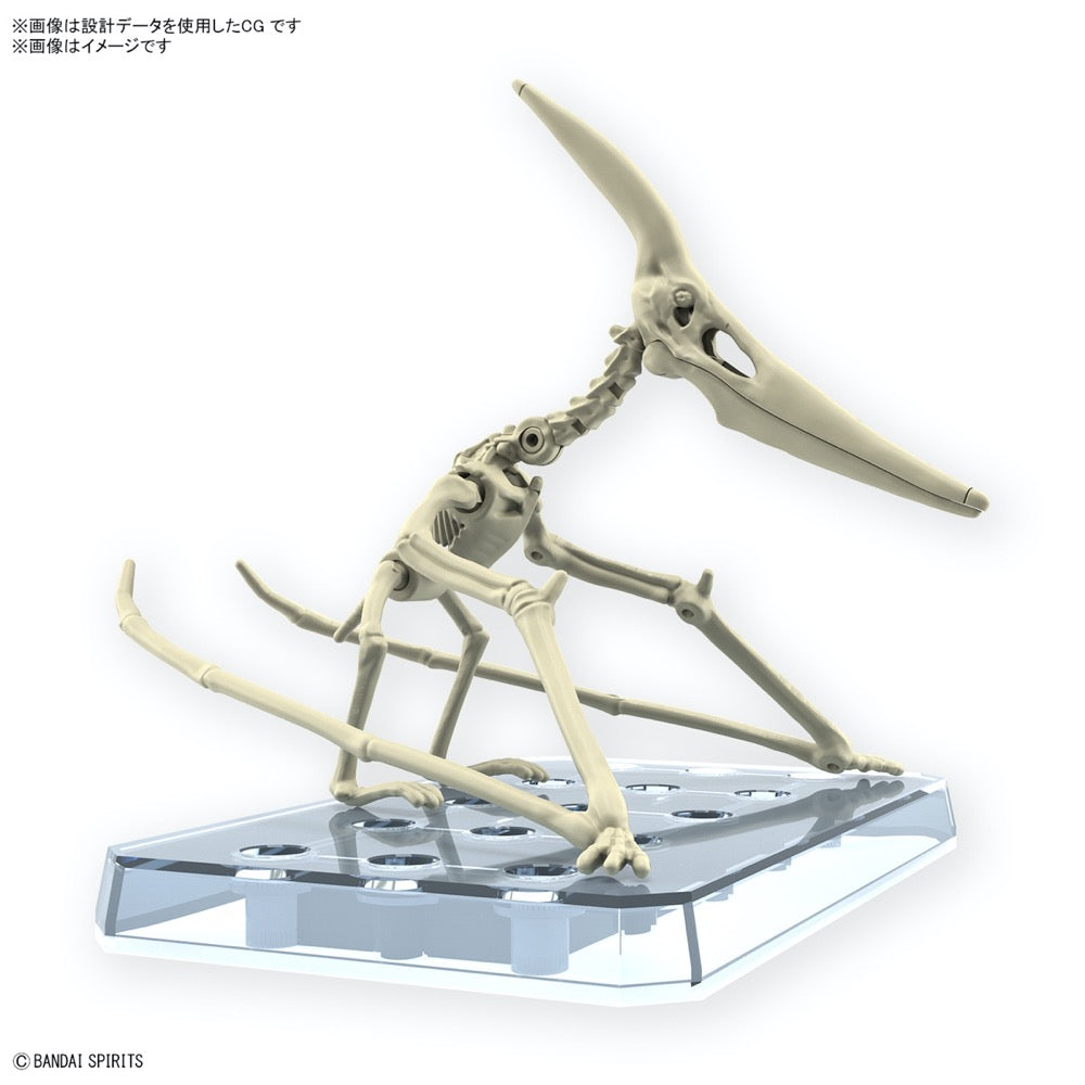 Bandai 5066282 Plannosaurus Pteranodon Dinosaur