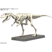 Bandai 5066320 Plannosaurus Giganotosaurus Dinosaur 4573102663207