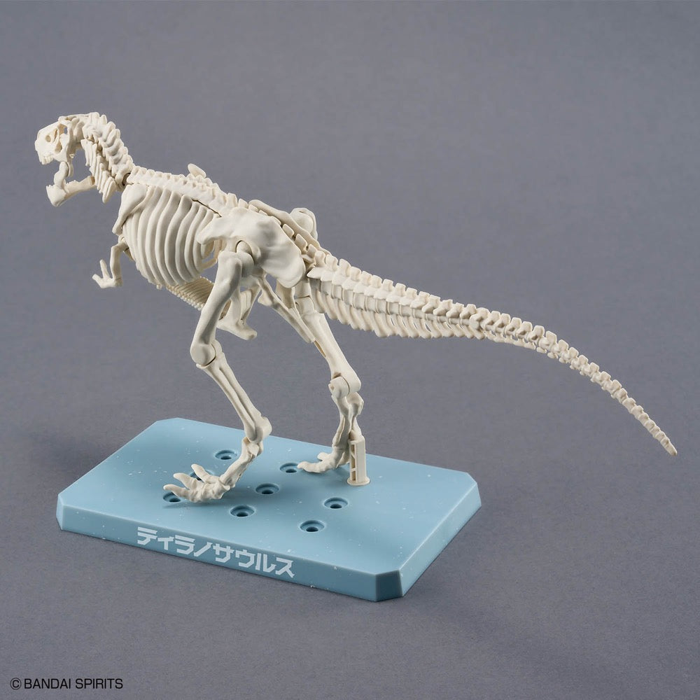 Bandai Plannosaurus Tyrannosaurus Snowfall Area Ver.