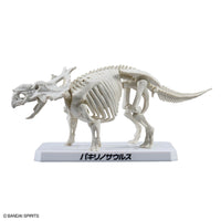 Bandai Plannosaurus Pachyrhinosaurus