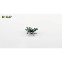 Gamers Grass Laser Plants Blue Agave