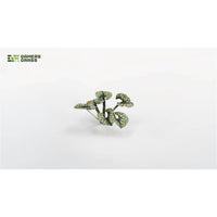 Gamers Grass Laser Plants Bugloss