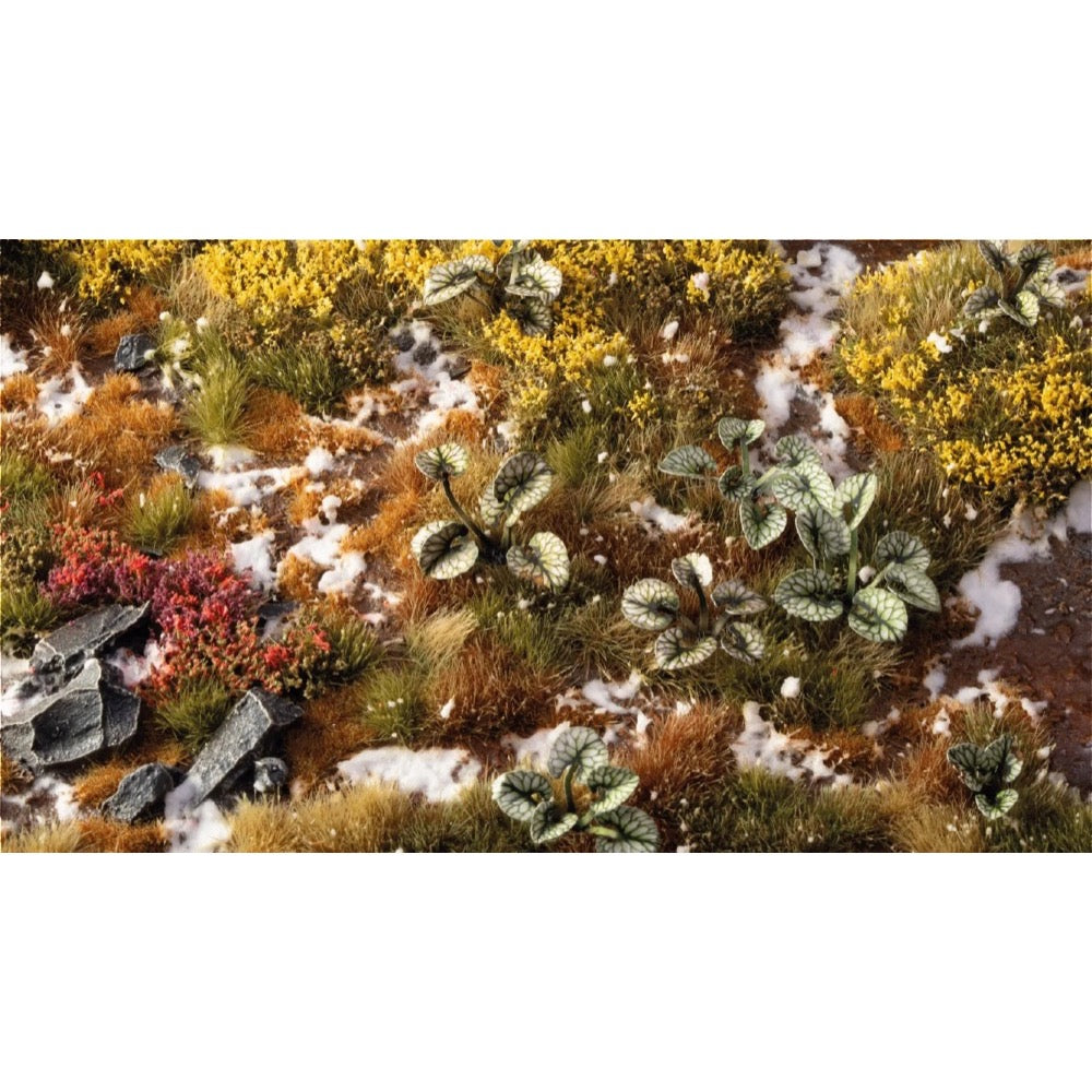 Gamers Grass Laser Plants Bugloss