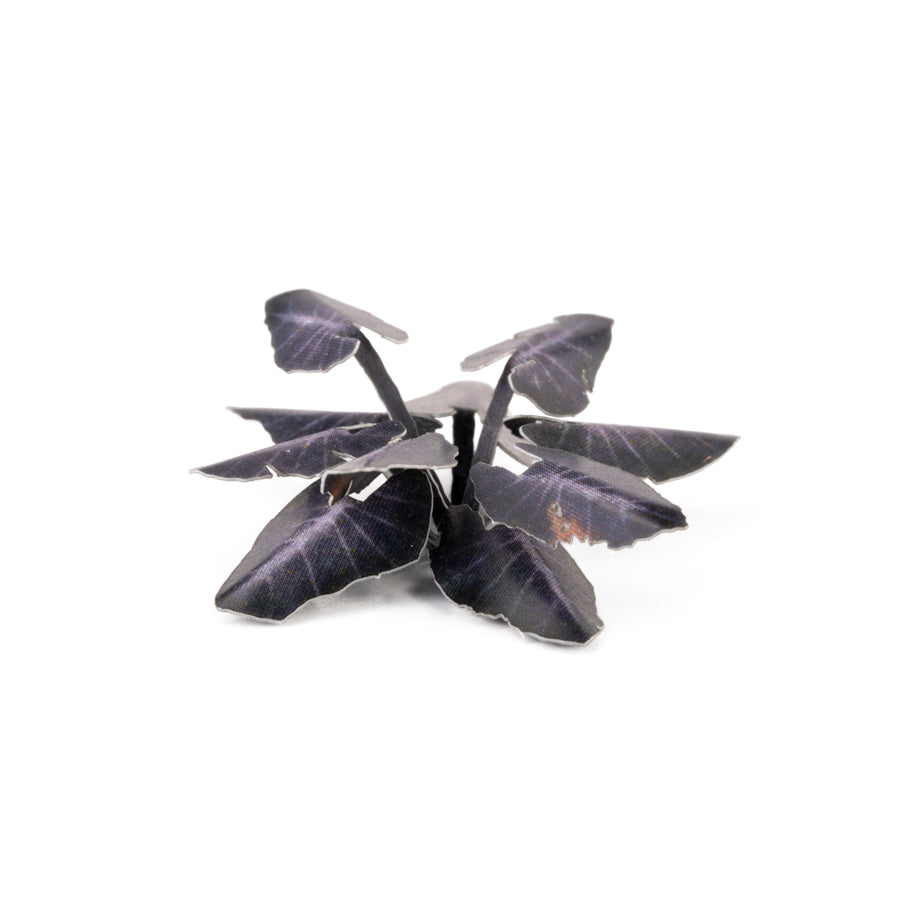 Gamers Grass GGLP-BMT Laser Plants Black Magic Taro