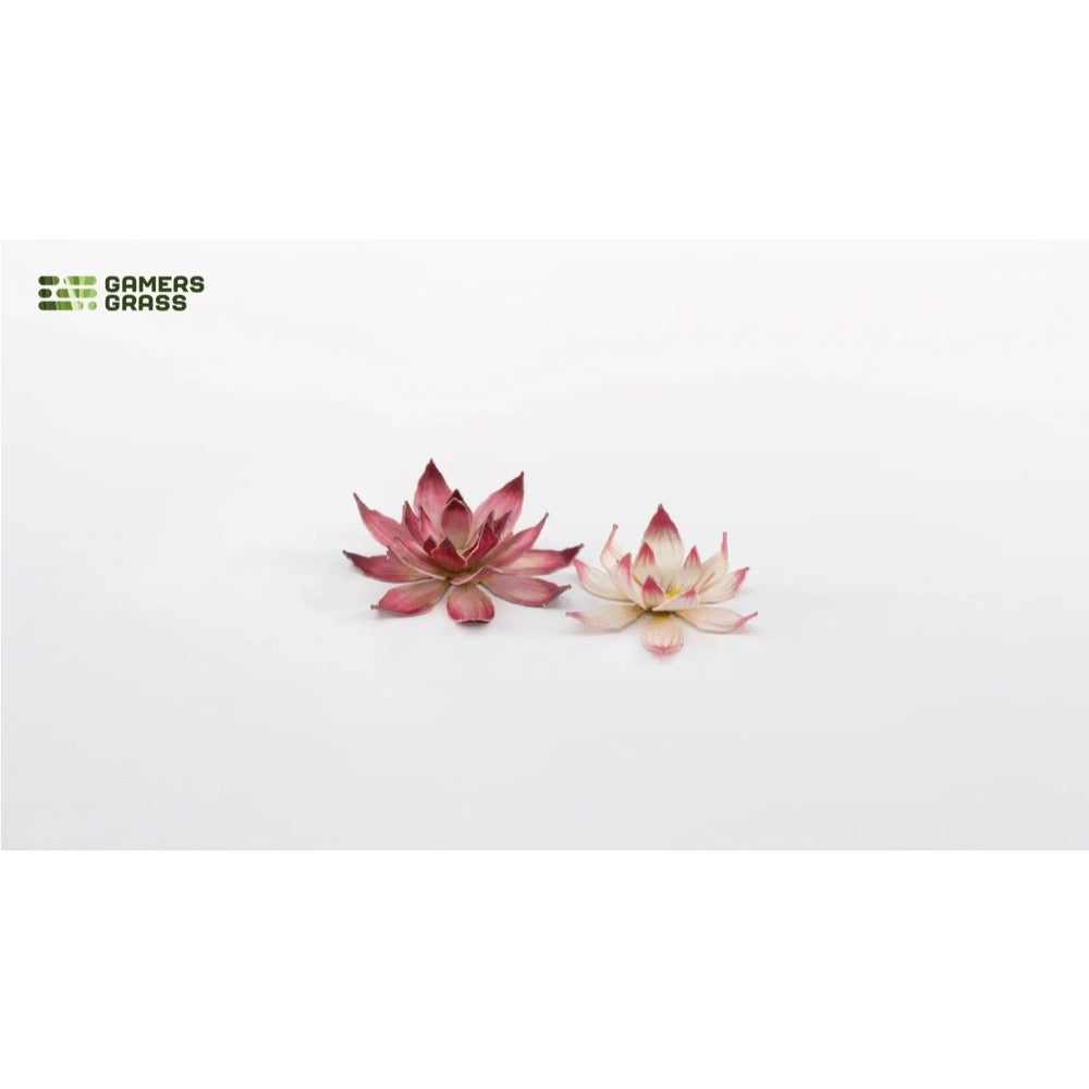 Gamers Grass Laser Plants Lotus Flower