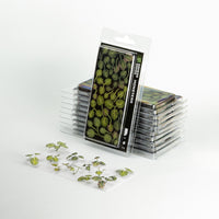 Gamers Grass GGLP-MT Laser Plants Monstera