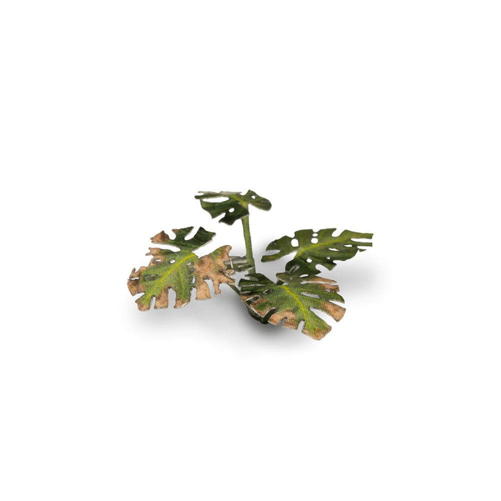 Gamers Grass GGLP-MT Laser Plants Monstera