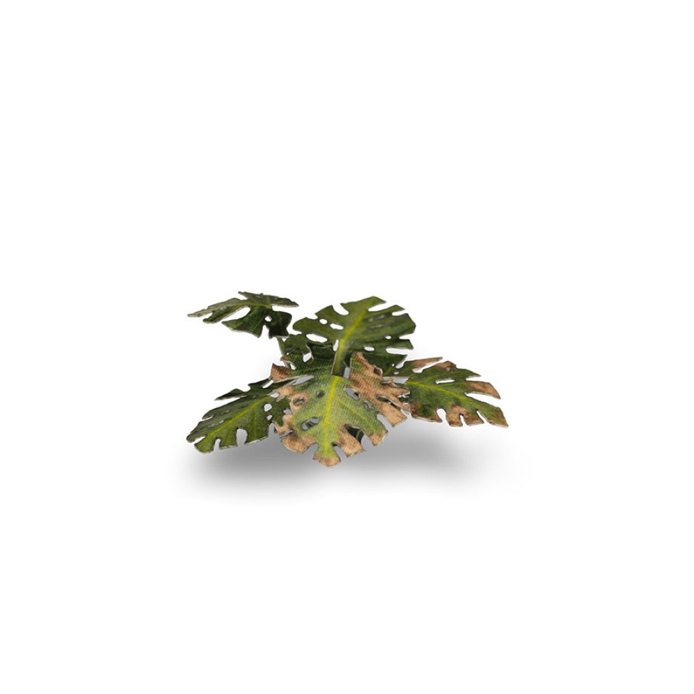 Gamers Grass GGLP-MT Laser Plants Monstera