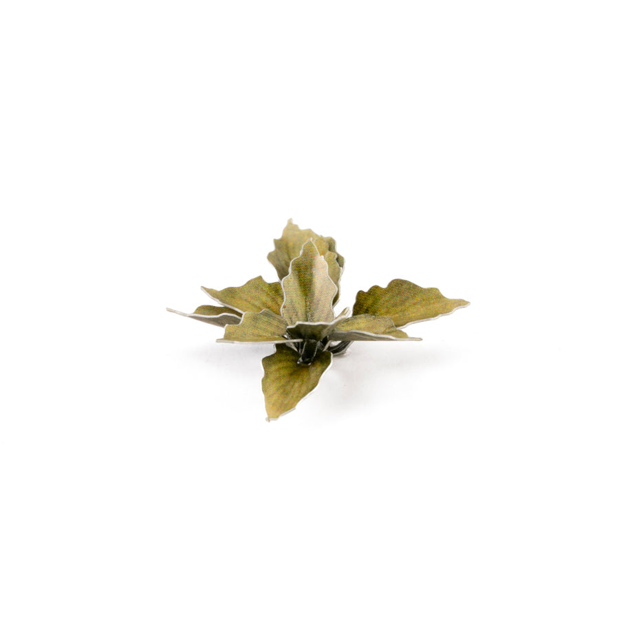 Gamers Grass GGLP-PL Laser Plants Plantain Lily