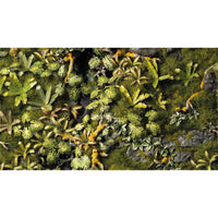 Gamers Grass Boxed Sets Jungle Floor Basing Box