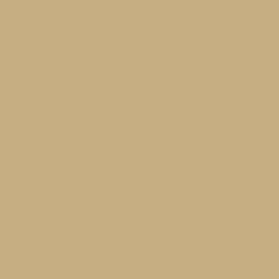 Mr Hobby (Gunze) C528 Mr Color IDF Grey 1 1981 Sinai Lacquer Paint 10ml