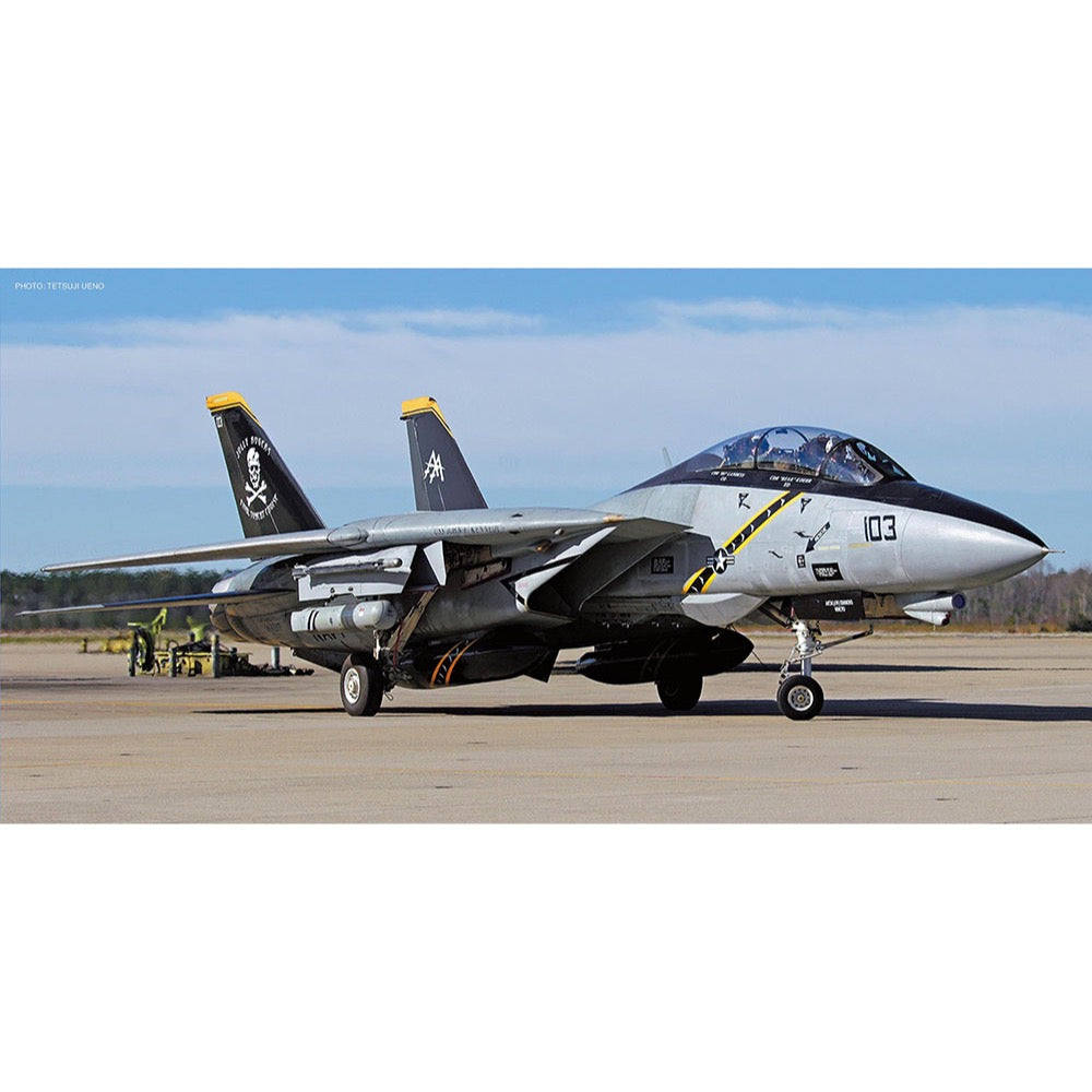 Hasegawa 2434 1/72 F-14B Tomcat VF-103 Jolly Rogers Last Flight 2004 4967834024342