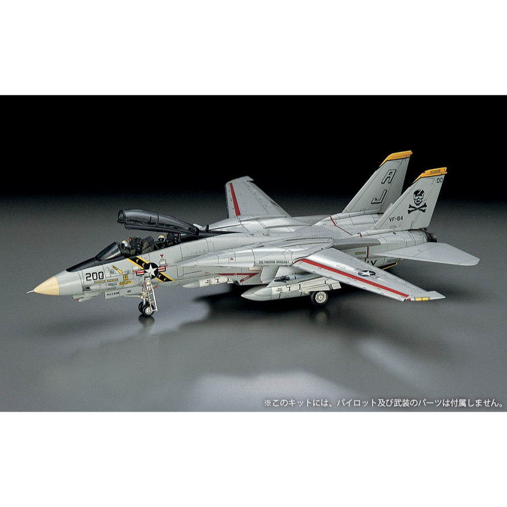 Hasegawa 1/72 F-14A Tomcat Atlantic F.S