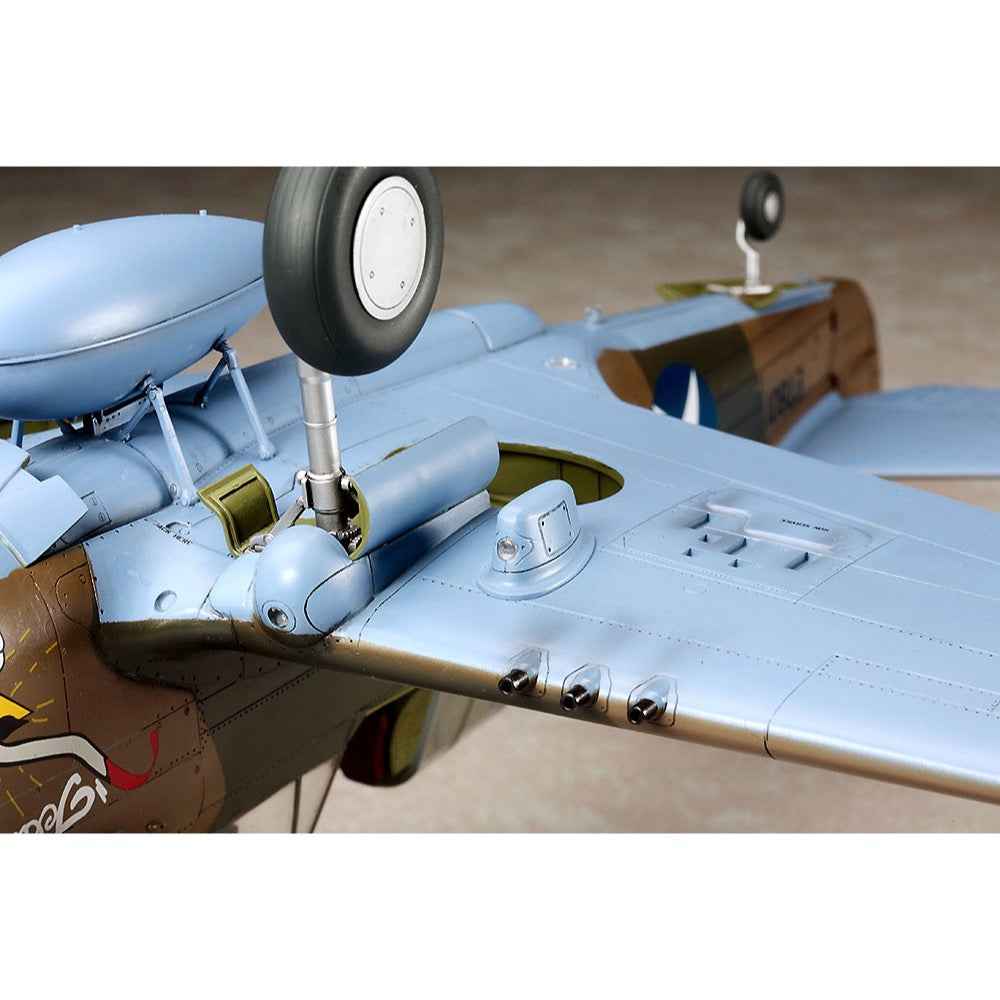 Hasegawa 8879AU 1/32 P-40E Warhawk with RAAF Decals