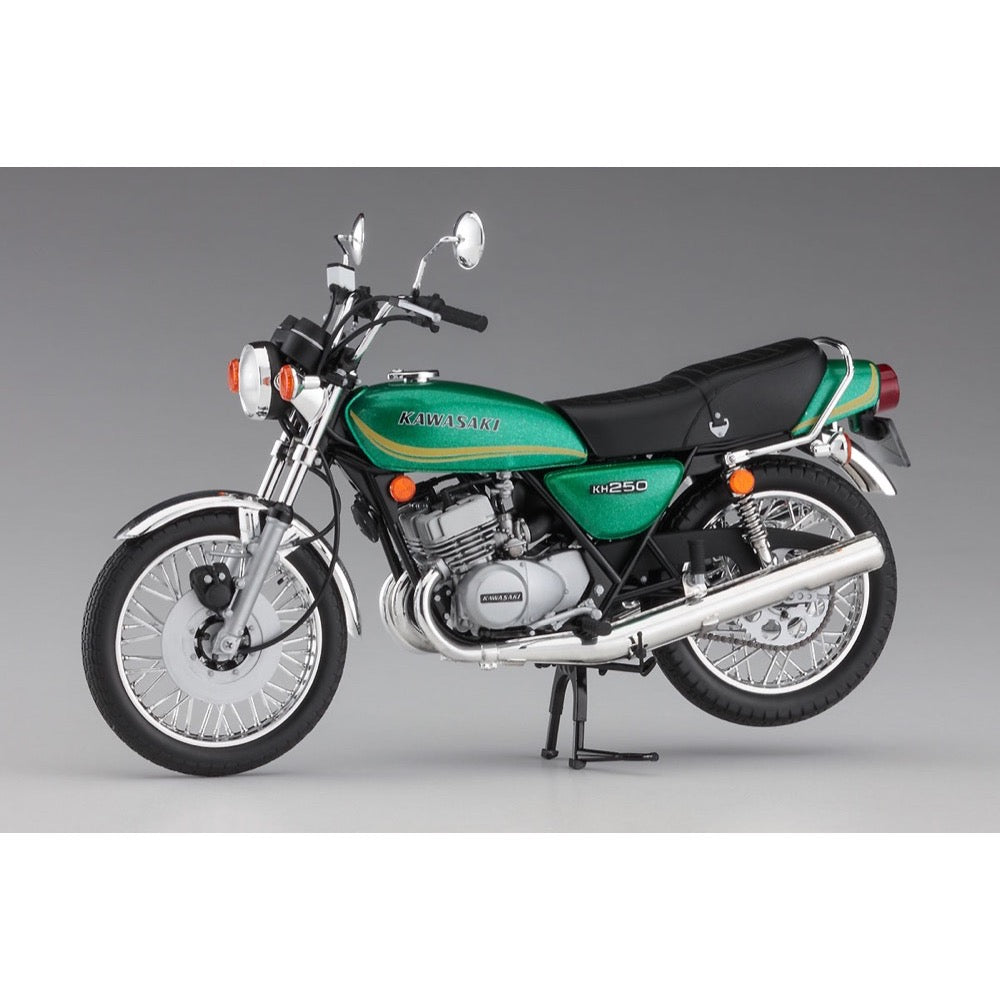 Hasegawa 1/12 Kawasaki KH250-B3/B4