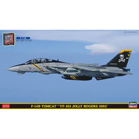 Hasegawa 1/72 F-14B Tomcat 