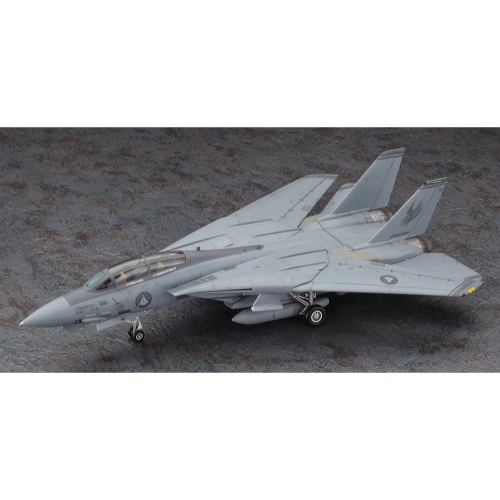 Hasegawa 1/72 "Macross Zero" F-14