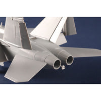 HobbyBoss 1/48 F/A-18F Super Hornet VFC-12 Plastic Model Kit