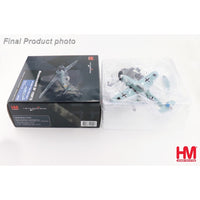 Hobby Master 1/48 BF 109G-5 Walter Dahl W.Nr.27112 3./JG 54 Russia December 1943
