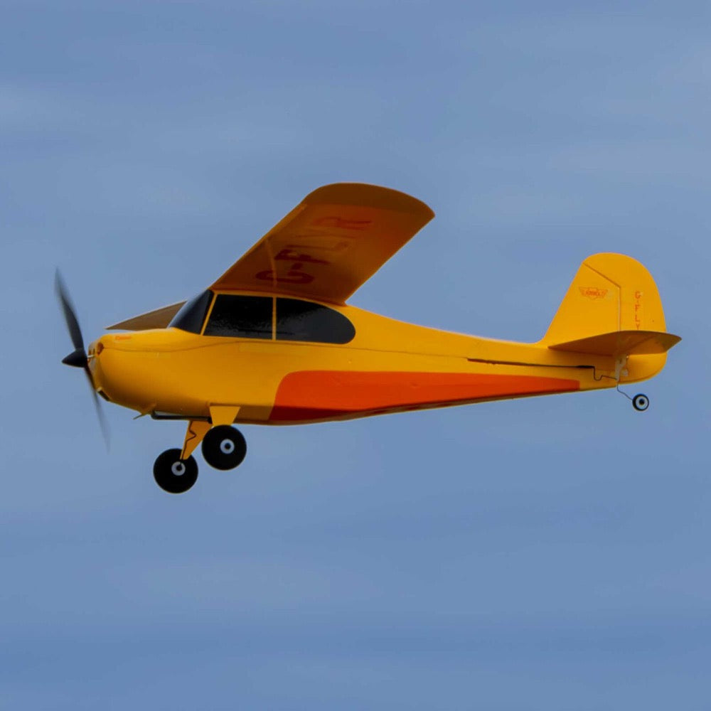 Hobbyzone Champ Anniversary Special Edition RC Plane RTF Mode 2 HBZ04900