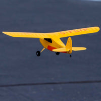 Hobbyzone Champ Anniversary Special Edition RC Plane RTF Mode 2 HBZ04900