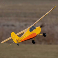 Hobbyzone Champ Anniversary Special Edition RC Plane RTF Mode 2 HBZ04900