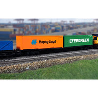 Hornby R60360 OO RailRoad BR FFA Container Wagon & Containers