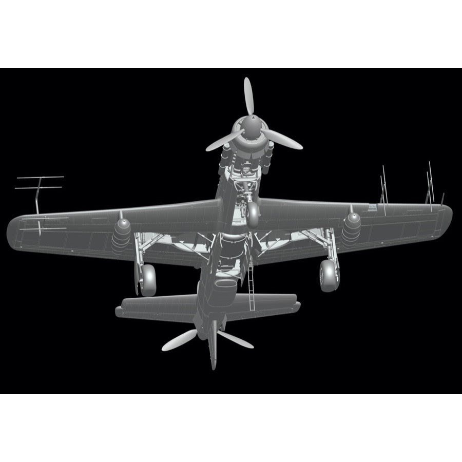 Hong Kong Model 01E021 1/32 Dornier Do 335 Night Fighter*