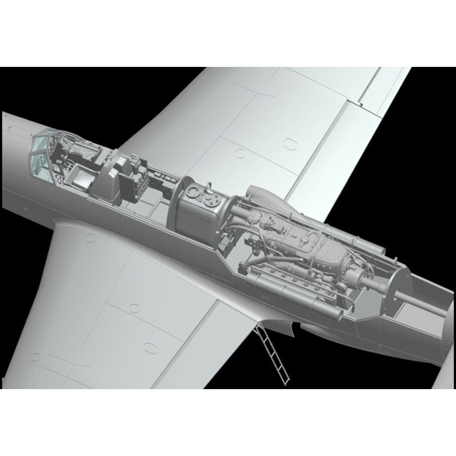 Hong Kong Model 01E021 1/32 Dornier Do 335 Night Fighter*