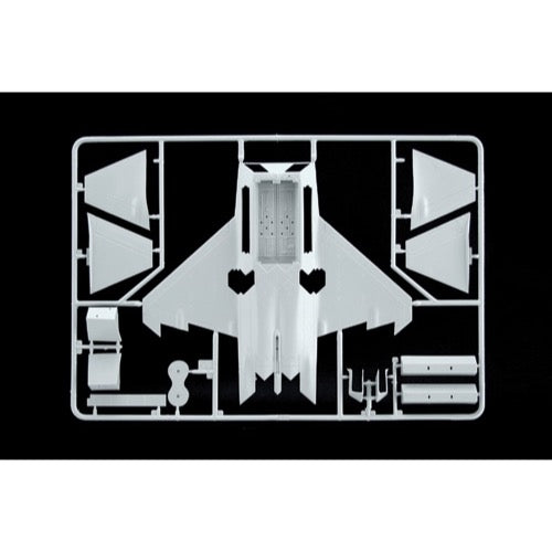Italeri 1207 1/72 F-22 Raptor