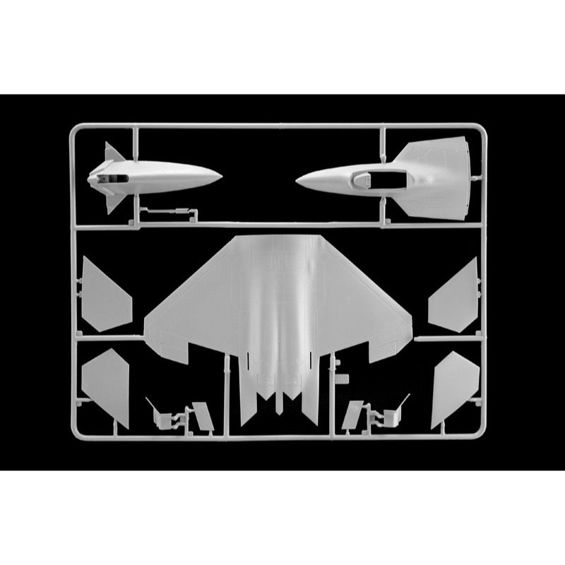 Italeri 72011 1/72 F-22 Raptor - Complete Set - includes tools and paints